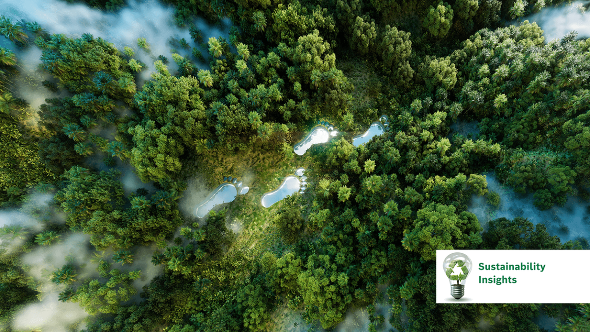 Green forest ecosystem seen from above, symbolizing sustainable development and environmental responsibility.